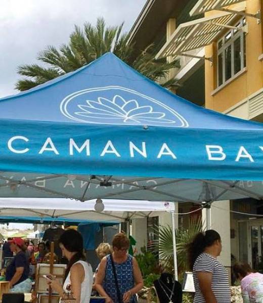 62795a_dcc2a76d995948878366455ac12c084c~mv2